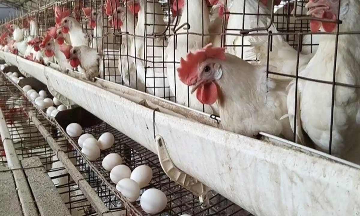 tamilnadu government